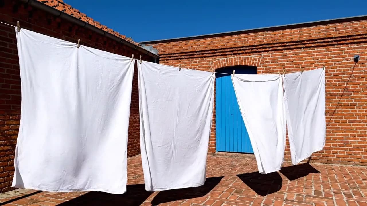 Laundry Line Brick Courtyard