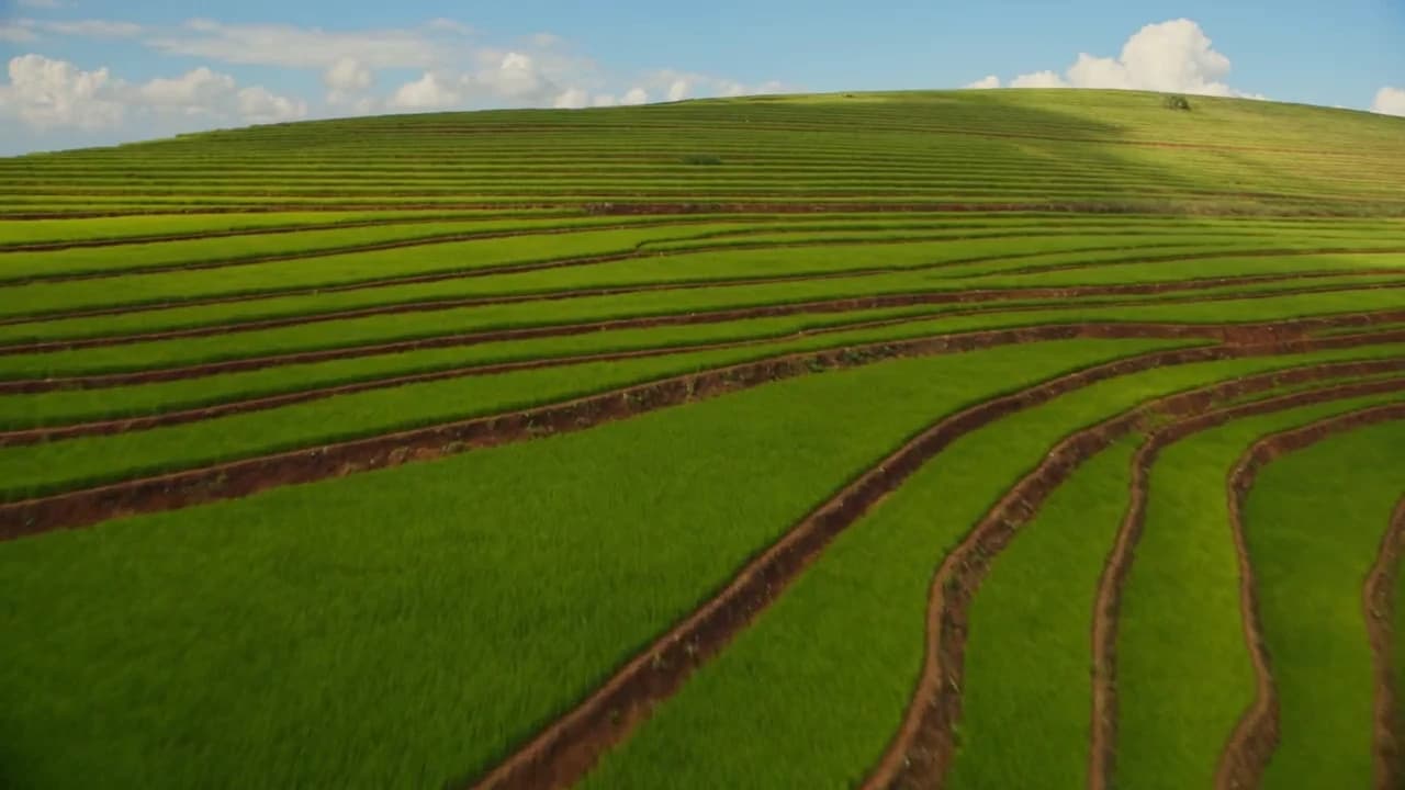 Emerald Terraces Drone Flyover