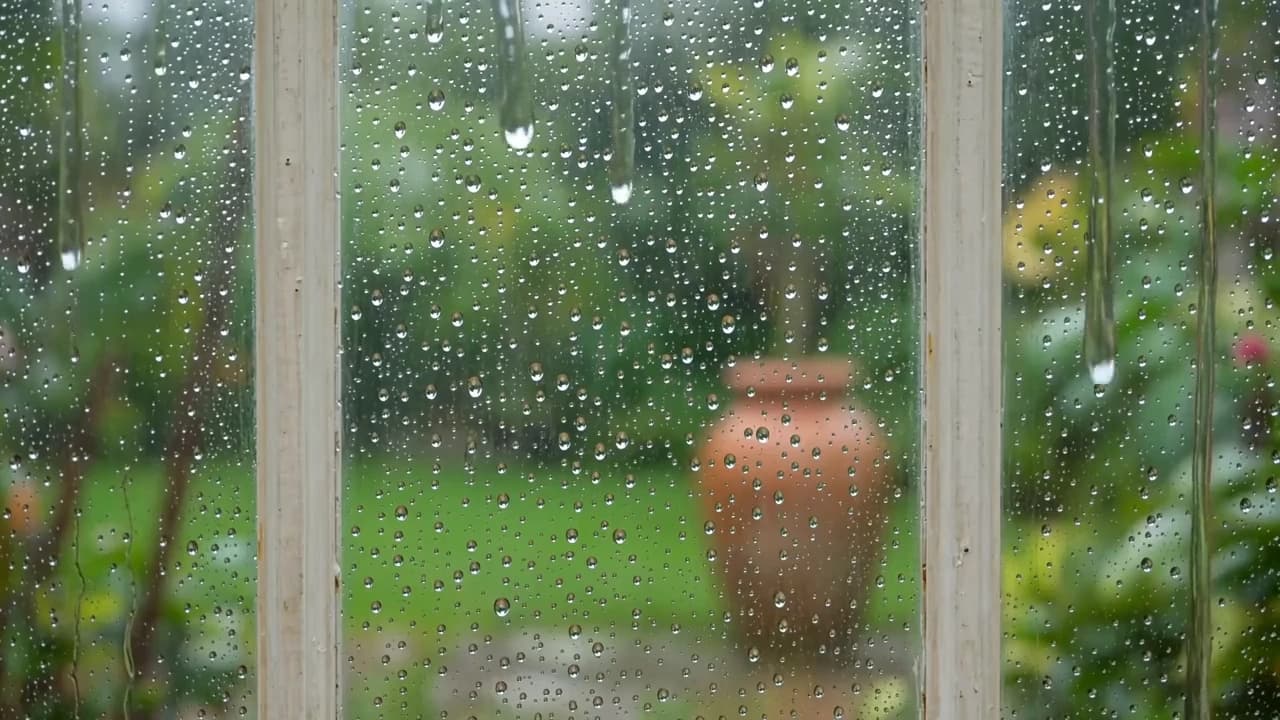 Rain on Greenhouse Glass