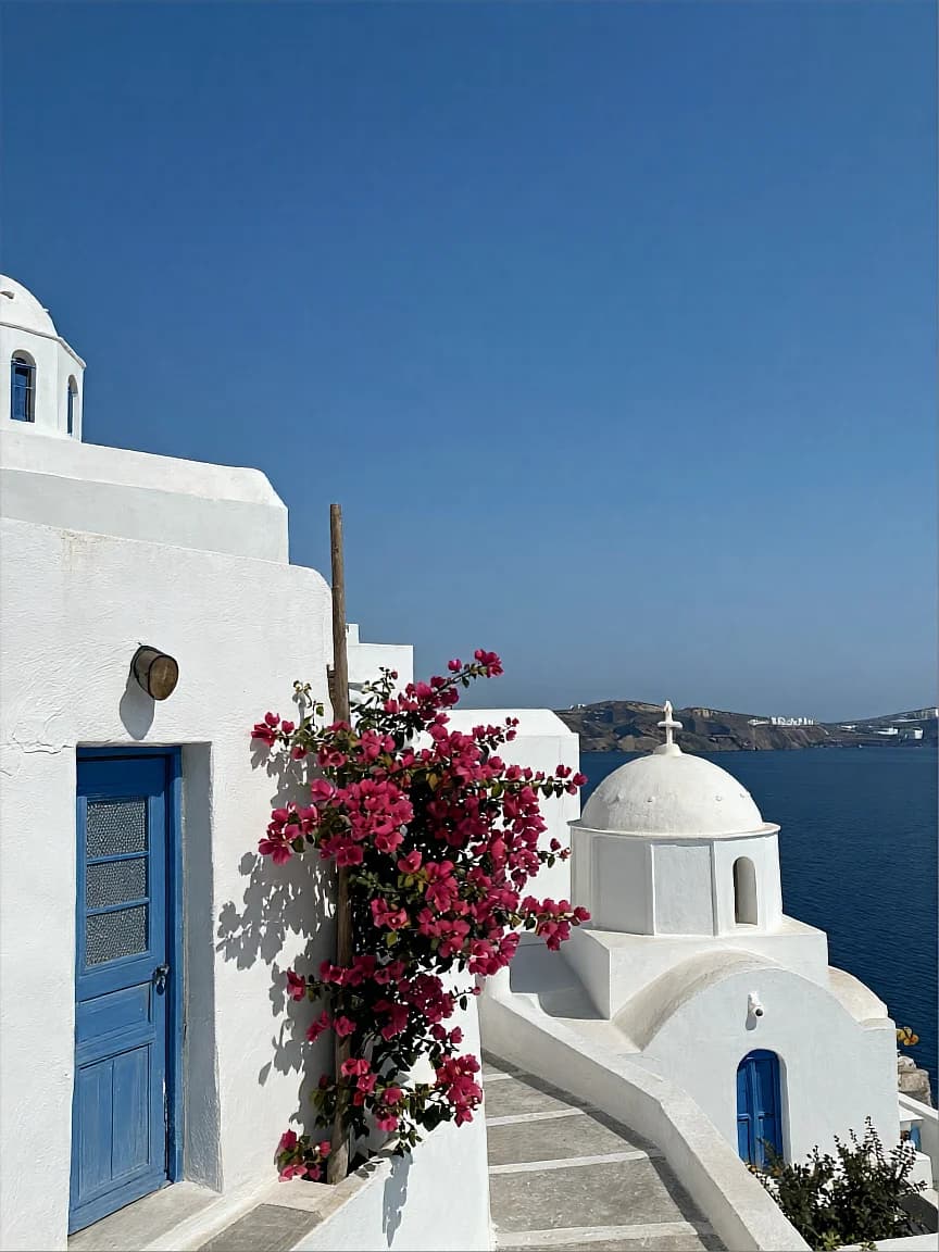 Santorini Clifftop Bougainvillea
